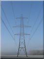 Electricity Pylon, Bishopstone Lane