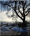 Lindhurst Farm, South of Mansfield, Notts.