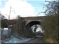 Dane-in-Shaw railway viaduct (1)