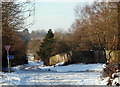 Cave Wood Vicinity, Blidworth, Notts.