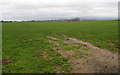 Towards Little Peterstow Farm from St Owen