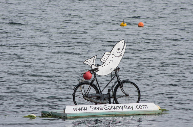 Salmon on a bicycle
