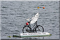 M2208 : Salmon on a bicycle by Ian Capper