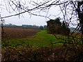 Looking south on field boundary from bridleway