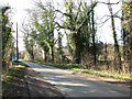 Norwich Road past Flordon Common