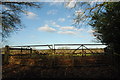 Farm gates near Tilford, Surrey