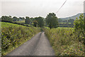 R3196 : Lane near Lackareagh by Ian Capper