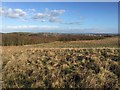 SJ8148 : Apedale Country Park: vista to the north-east by Jonathan Hutchins