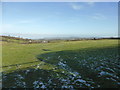 Fields near Llanefydd