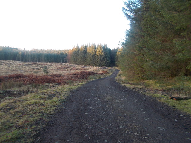 Forestry track