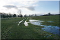 Flooding by the track to Hollins House