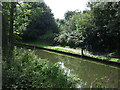 The Chesterfield Canal