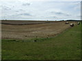 SK5379 : Stubble field, Thorpe Common by JThomas