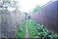 Footpath off Bixley Heath