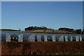 Polytunnels by Wester Friarton