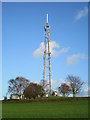 Telecommunications mast near Leek