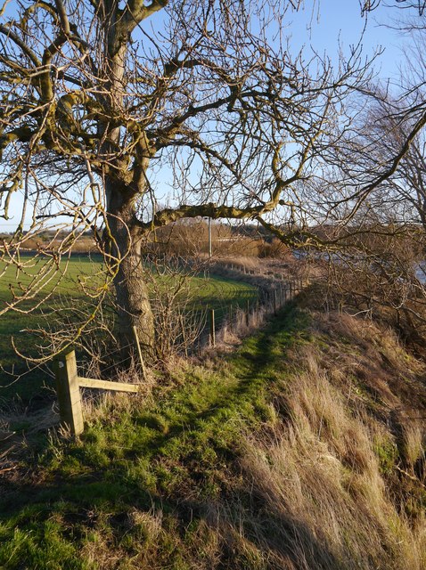 A Footpath To The Tweed