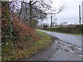 Road north-east of Hemyock Common