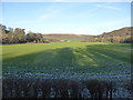 Field at Llanfair TH