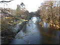 Afon Elwy from Elwy Bridge