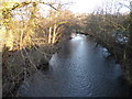 Afon Elwy from Elwy Bridge