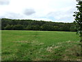 Farmland towards railway and woodland, Whaley Thorns