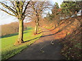 Footpath - Springhead Park