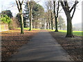 Springhead Park - viewed from Park Lane