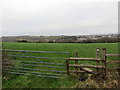 Llwybr Cila / Killay Footpath