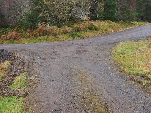 Junction on track through the forest