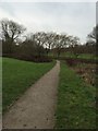 Lyme Valley Park: footpath