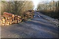 SO9245 : Forestry work in Tiddesley Wood by Philip Halling