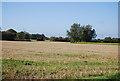 Farmland by Old Hall Rd