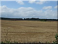 Stubble field west of Common Lane