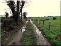 H3093 : A muddy lane, Clady by Kenneth  Allen