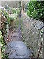 Footpath - Lower Brockwell Lane