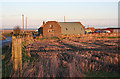 Recycled Nissen Hut