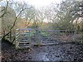 G?t Fochyn Comin Clun / Clyne Common Kissing Gate