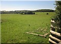 Sheep pasture near Cherrybrook House