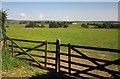 Pasture above the Wallabrook valley