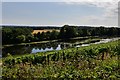 Painshill Park