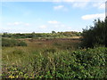 View across the bog towards a flooded peat digging