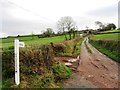 Halsegate cross