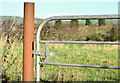 Cast-iron gatepost near Dundonald (January 2015)