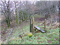 SH5544 : Footpath stile on the old tramway by David Medcalf