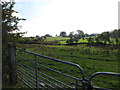 Farmland between Lurgancullenboy Road and a branch of Murrays Road