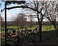 Rose Garden, Carr Bank Park, Mansfield, Notts.