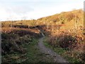 Tuag at Ffarm New Mill / Towards New Mill Farm