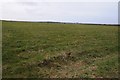 Farmland near Blackwater