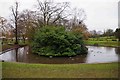 Island in the lake, Sanders Park, Bromsgrove, Worcs